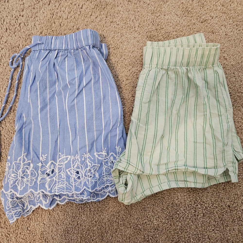Blue and Green Striped Skirts with Floral Embroidery